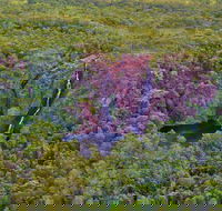 Litchfield Park  Daly River - Scenic Flight From Darwin - Accommodation Batemans Bay