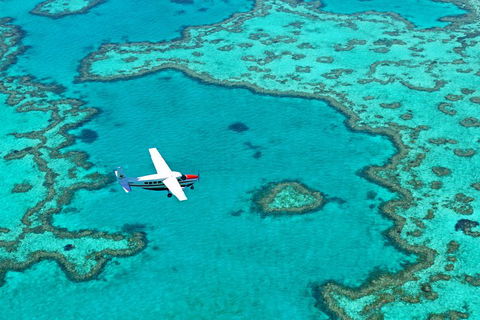 Reef And Island Scenic Flight From Airlie Beach - Accommodation Batemans Bay 4