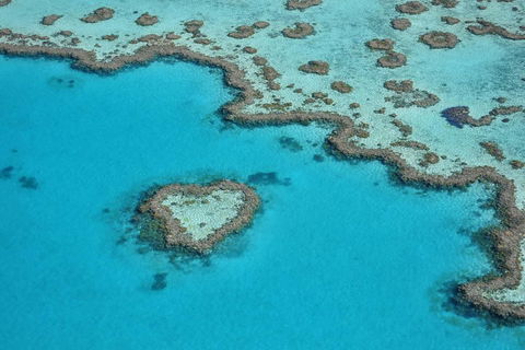 Reef And Island Scenic Flight From Airlie Beach - Accommodation Batemans Bay 5