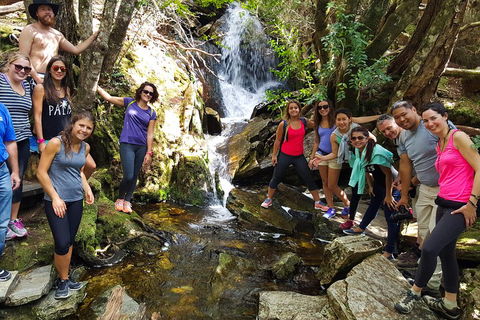 7-Day Super Value Tour Of Tasmania: Explore Tasmania's West And East Coasts - Accommodation Batemans Bay 2