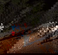 Alice Springs Desert Park Nocturnal Tour - Accommodation Batemans Bay