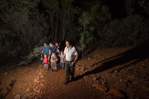 Alice Springs Desert Park Nocturnal Tour - Accommodation Batemans Bay 0