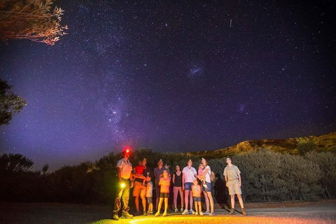 Alice Springs Desert Park Nocturnal Tour - Accommodation Batemans Bay 2