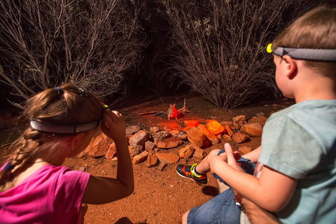Alice Springs Desert Park Nocturnal Tour - Accommodation Batemans Bay 4