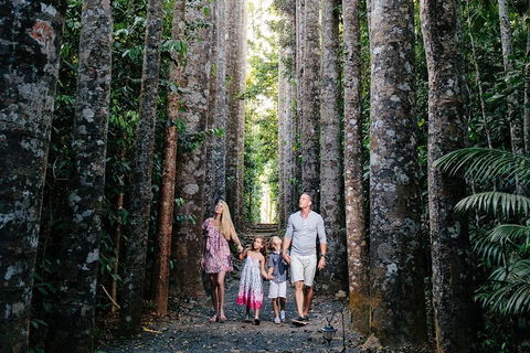 The Original Day Tour To Paronella Park, Lake Barrine And Millaa Millaa Falls - Accommodation Batemans Bay 1