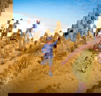 Full-Day Pinnacles Desert and Yanchep National Park Tour From Perth - Accommodation Batemans Bay
