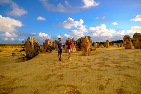Half Day Pinnacles Sunset Tour - Accommodation Batemans Bay 1