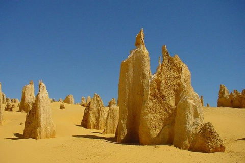 Half Day Pinnacles Sunset Tour - Accommodation Batemans Bay 2