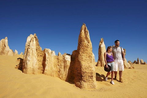 Half Day Pinnacles Sunset Tour - Accommodation Batemans Bay 4