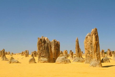 Half Day Pinnacles Sunset Tour - Accommodation Batemans Bay 5