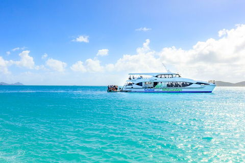 Whitehaven Beach And Daydream Island Cruise - Accommodation Batemans Bay 2