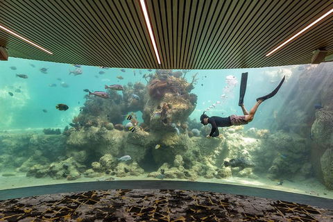 Whitehaven Beach And Daydream Island Cruise - Accommodation Batemans Bay 4
