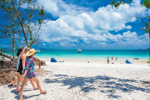 Whitehaven Beach Half-Day Cruises - Accommodation Batemans Bay 1