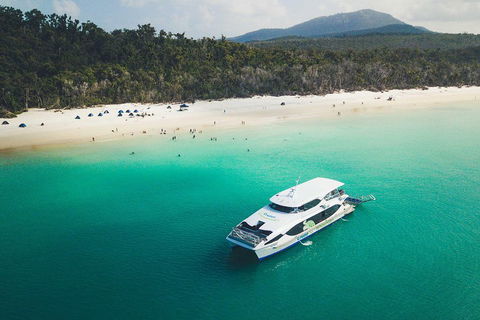 Whitehaven Beach Half-Day Cruises - Accommodation Batemans Bay 2