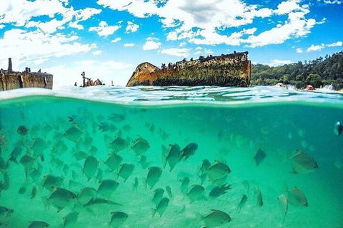 Adventure Moreton Island Day Pass - Accommodation Batemans Bay 4