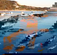 Adventure Moreton Island Wrecks Adventure Package - Accommodation Batemans Bay