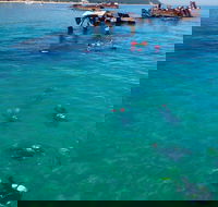 Adventure Moreton Island Scuba Dive Tour - Accommodation Batemans Bay