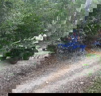 Cairns ATV Adventure Tour and Morning Train - Accommodation Batemans Bay