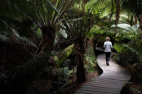 Private Tour Of Melbourne - Accommodation Batemans Bay 2