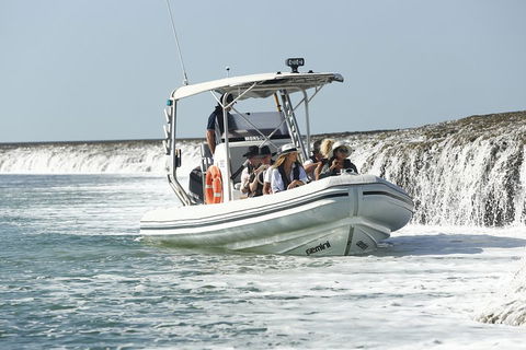 Cygnet Bay Explorer - Accommodation Batemans Bay 2