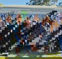 Full Day Mount Tamborine Winery Tour from Gold Coast - Accommodation Batemans Bay