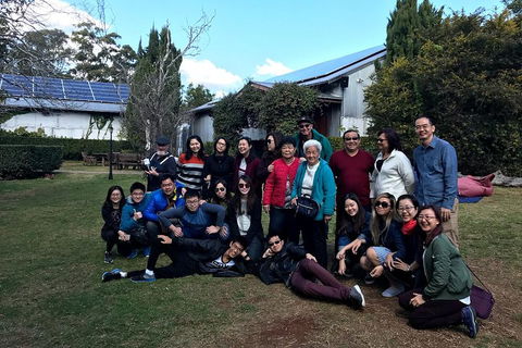 Full Day Mount Tamborine Winery Tour From Brisbane - Accommodation Batemans Bay 2