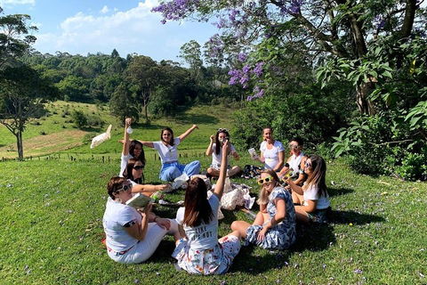 Full Day Mount Tamborine Winery Tour From Brisbane - Accommodation Batemans Bay 4