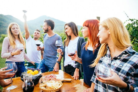 Full Day Mount Tamborine Winery Tour From Brisbane - Accommodation Batemans Bay 5