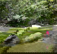 Daintree Dreaming Traditional Aboriginal Fishing from Cairns or Port Douglas - Accommodation Batemans Bay