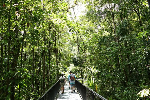 Daintree Dreaming Traditional Aboriginal Fishing From Cairns Or Port Douglas - Accommodation Batemans Bay 3
