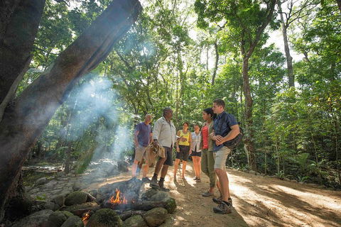 Daintree Dreaming Traditional Aboriginal Fishing From Cairns Or Port Douglas - Accommodation Batemans Bay 5