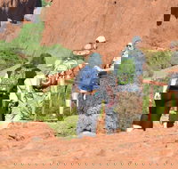 Afternoon Kata Tjuta Small Group Tour - Accommodation Batemans Bay