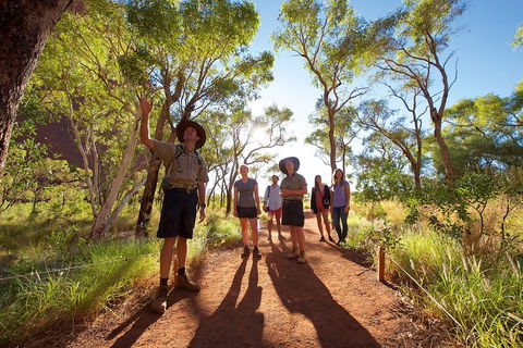 Uluru Small Group Tour Including Sunset - Accommodation Batemans Bay 0