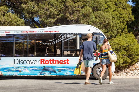 Discover Rottnest With Ferry & Bus Tour From Perth Or Fremantle - Accommodation Batemans Bay 1