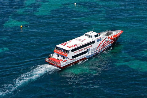 Discover Rottnest With Ferry & Bus Tour From Perth Or Fremantle - Accommodation Batemans Bay 3