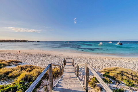Discover Rottnest With Ferry & Bus Tour From Perth Or Fremantle - Accommodation Batemans Bay 4