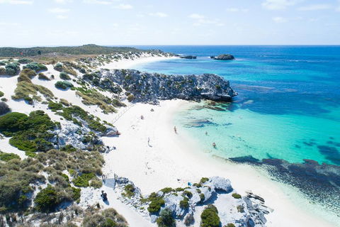 Discover Rottnest With Ferry & Bus Tour From Perth Or Fremantle - Accommodation Batemans Bay 5