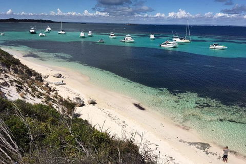 Experience Rottnest With Ferry & Bike Hire From Perth Or Fremantle - Accommodation Batemans Bay 0