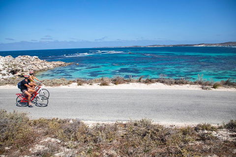 Experience Rottnest With Ferry & Bike Hire From Perth Or Fremantle - Accommodation Batemans Bay 2