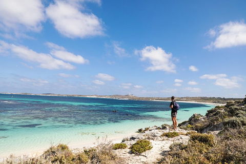 Experience Rottnest With Ferry & Bike Hire From Perth Or Fremantle - Accommodation Batemans Bay 3