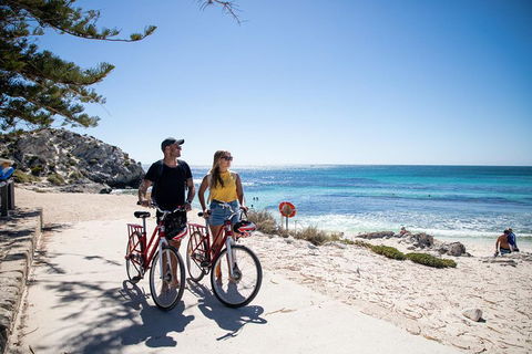 Experience Rottnest With Ferry & Bike Hire From Perth Or Fremantle - Accommodation Batemans Bay 4