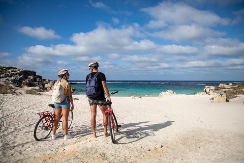 Experience Rottnest With Ferry & Bike Hire From Perth Or Fremantle - Accommodation Batemans Bay 5