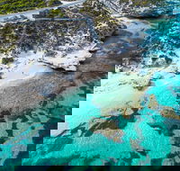 Rottnest Island Round-Trip Ferry from Perth or Fremantle - Accommodation Batemans Bay