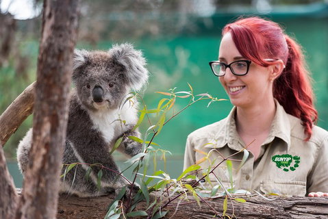 Small-Group Phillip Island Penguin Parade Day Tour From Melbourne - Accommodation Batemans Bay 0