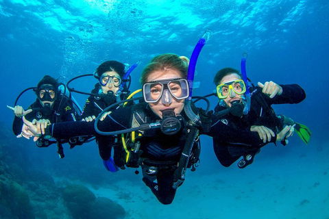 Great Barrier Reef Diving And Snorkeling Cruise From Cairns - Accommodation Batemans Bay 0