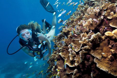 Great Barrier Reef Diving And Snorkeling Cruise From Cairns - Accommodation Batemans Bay 1