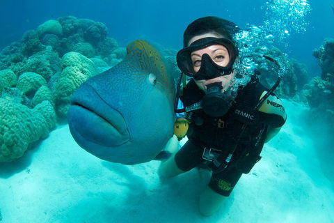 Great Barrier Reef Diving And Snorkeling Cruise From Cairns - Accommodation Batemans Bay 2