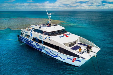 Great Barrier Reef Diving And Snorkeling Cruise From Cairns - Accommodation Batemans Bay 5