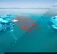 Ocean Freedom Great Barrier Reef Personal Luxury Snorkel  Dive Cruise Cairns - Accommodation Batemans Bay