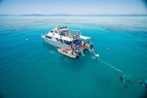 Ocean Freedom Great Barrier Reef Personal Luxury Snorkel & Dive Cruise, Cairns - Accommodation Batemans Bay 0